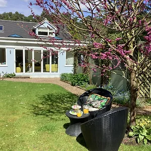 Ladang Apartment St Ives (Dorset)